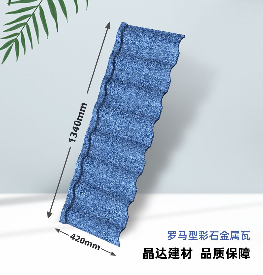 1651134012306413kPTD.jpg 羅馬型.jpg